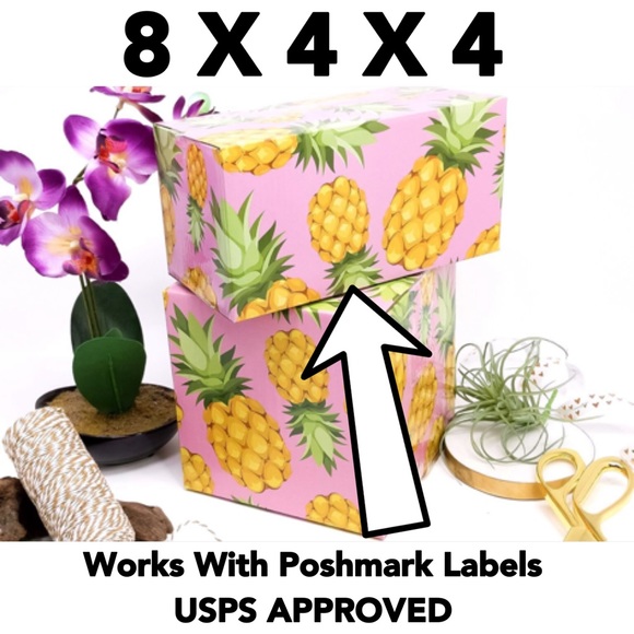 10 (8X4X4) ECO Pineapple Boxes PRICE IS FIRM - Picture 3 of 5